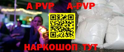 СК Новозыбков