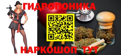 дмт Новодвинск