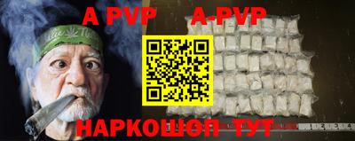 СК Новозыбков