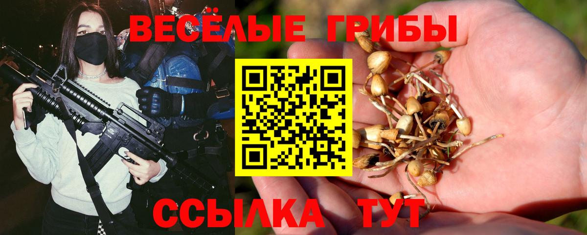 Псилоцибиновые грибы Psilocybine cubensis Пугачёв